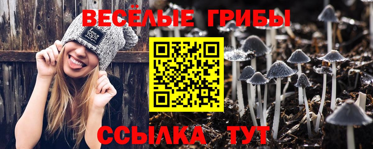 Тимашёвск  Псилоцибиновые грибы Cubensis  Вход с VPN 