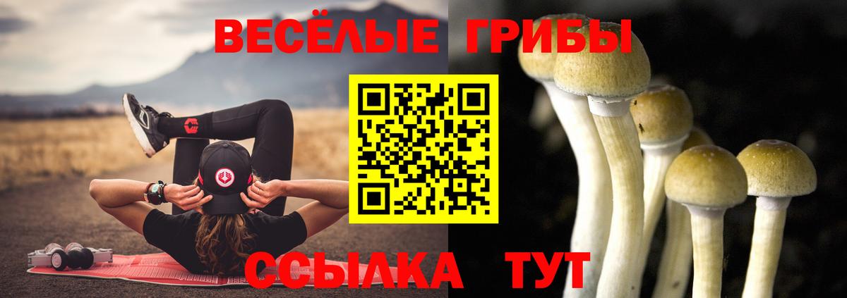 Псилоцибиновые грибы GOLDEN TEACHER Тимашёвск